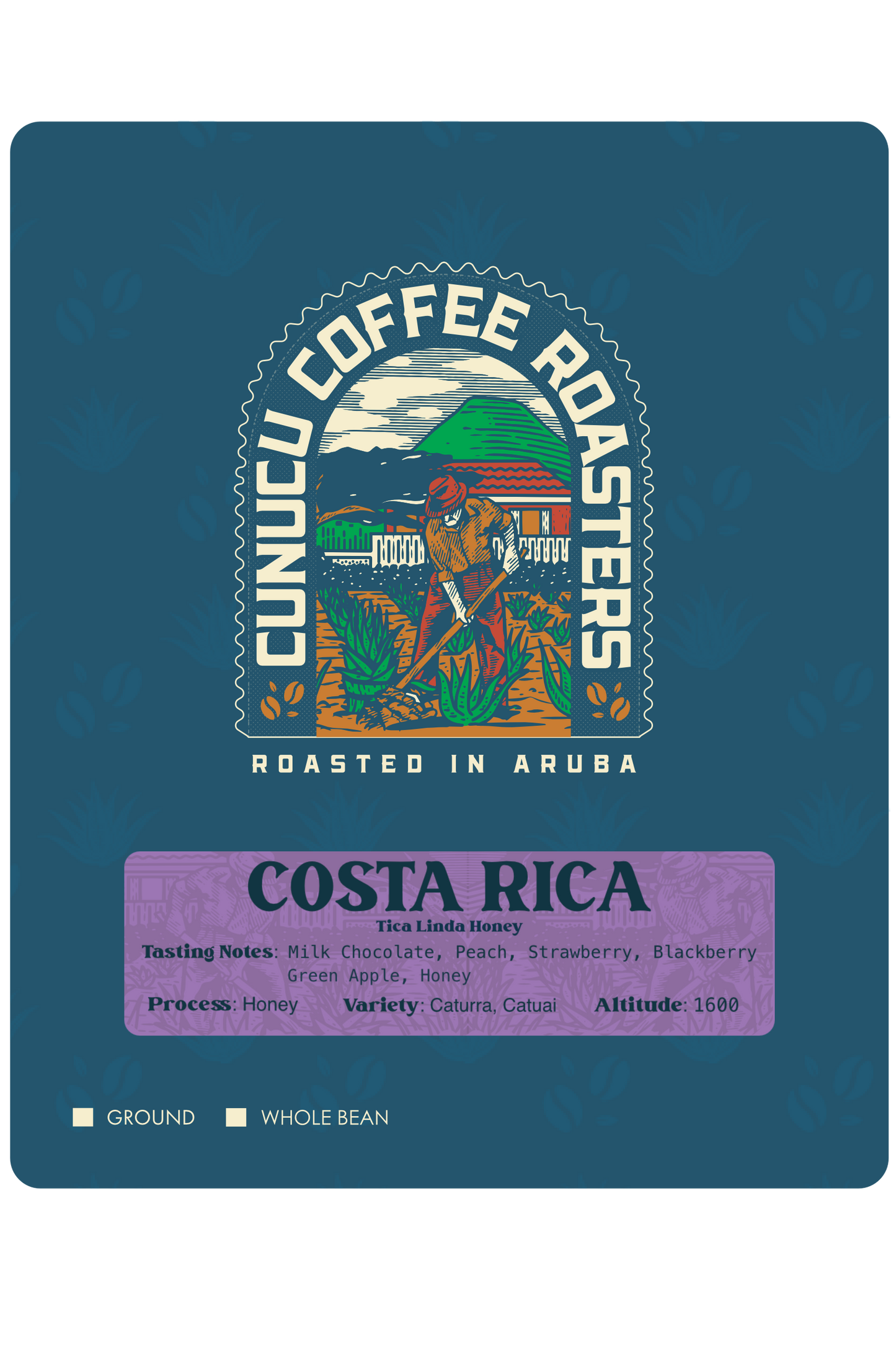 * COSTA RICA Tica Linda Honey- (Limited Edition)