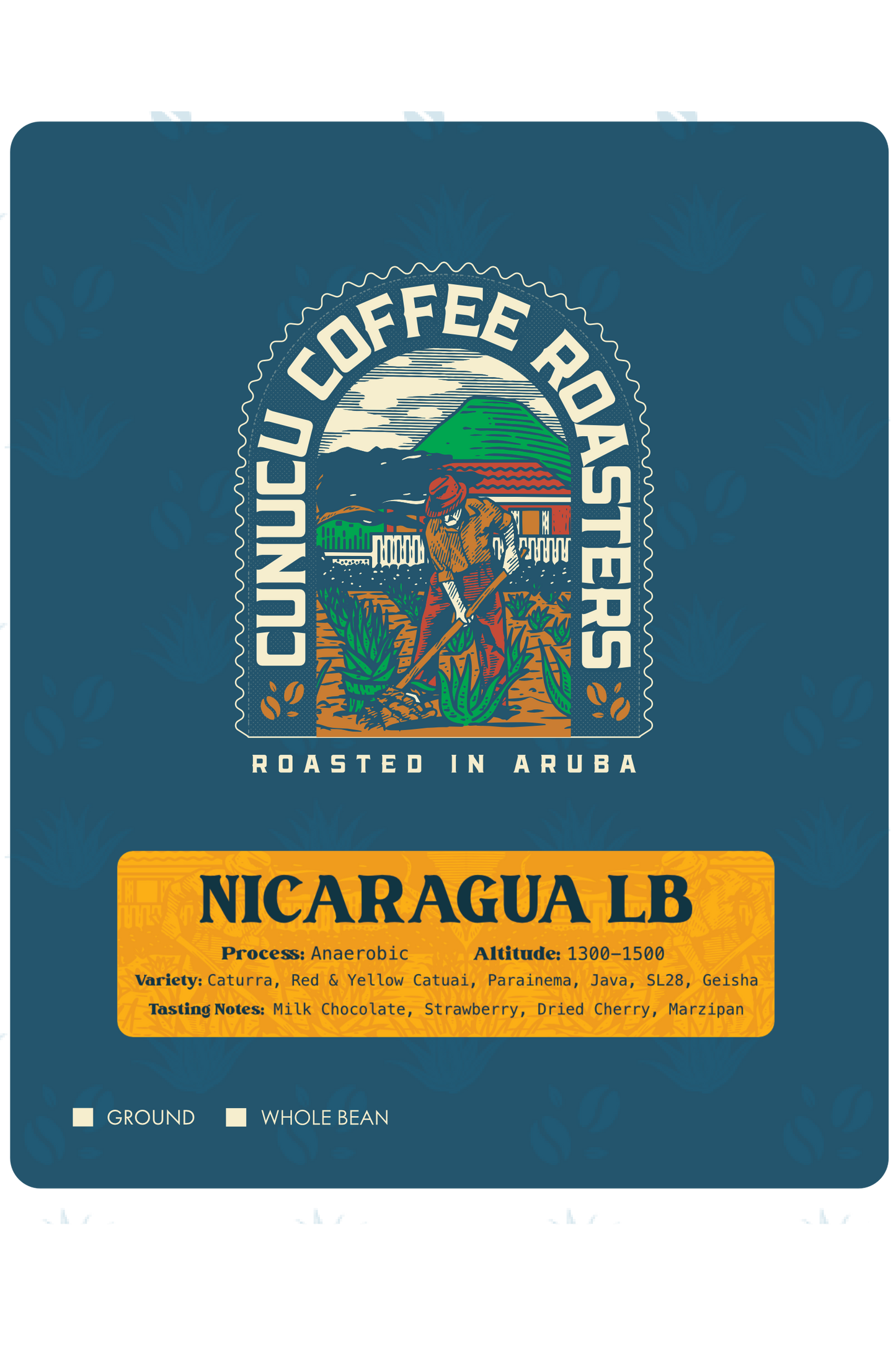 * NICARAGUA LA BASTIA - ANAEROBIC