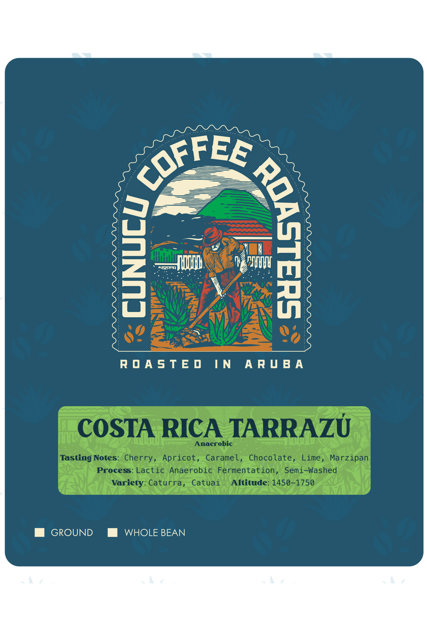 * COSTA RICA TARRAZÚ - Anaerobic (Limited Edition)